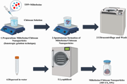 Chitosan nanoparticles improve the effectivity of miltefosine against Acanthamoeba